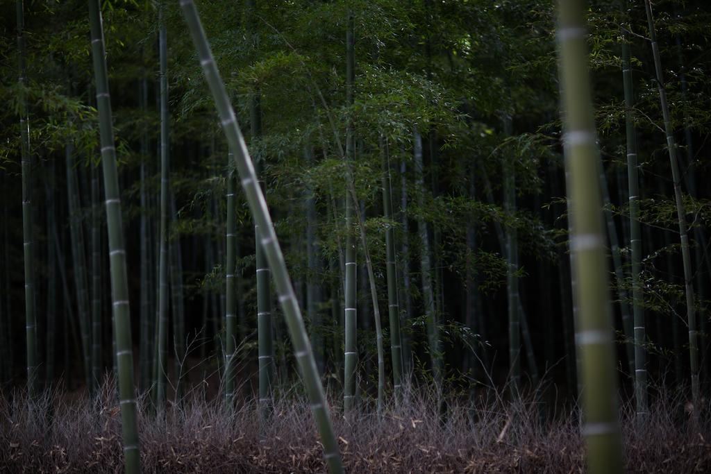 Kyoto Fushimi Ohana Muko المظهر الخارجي الصورة
