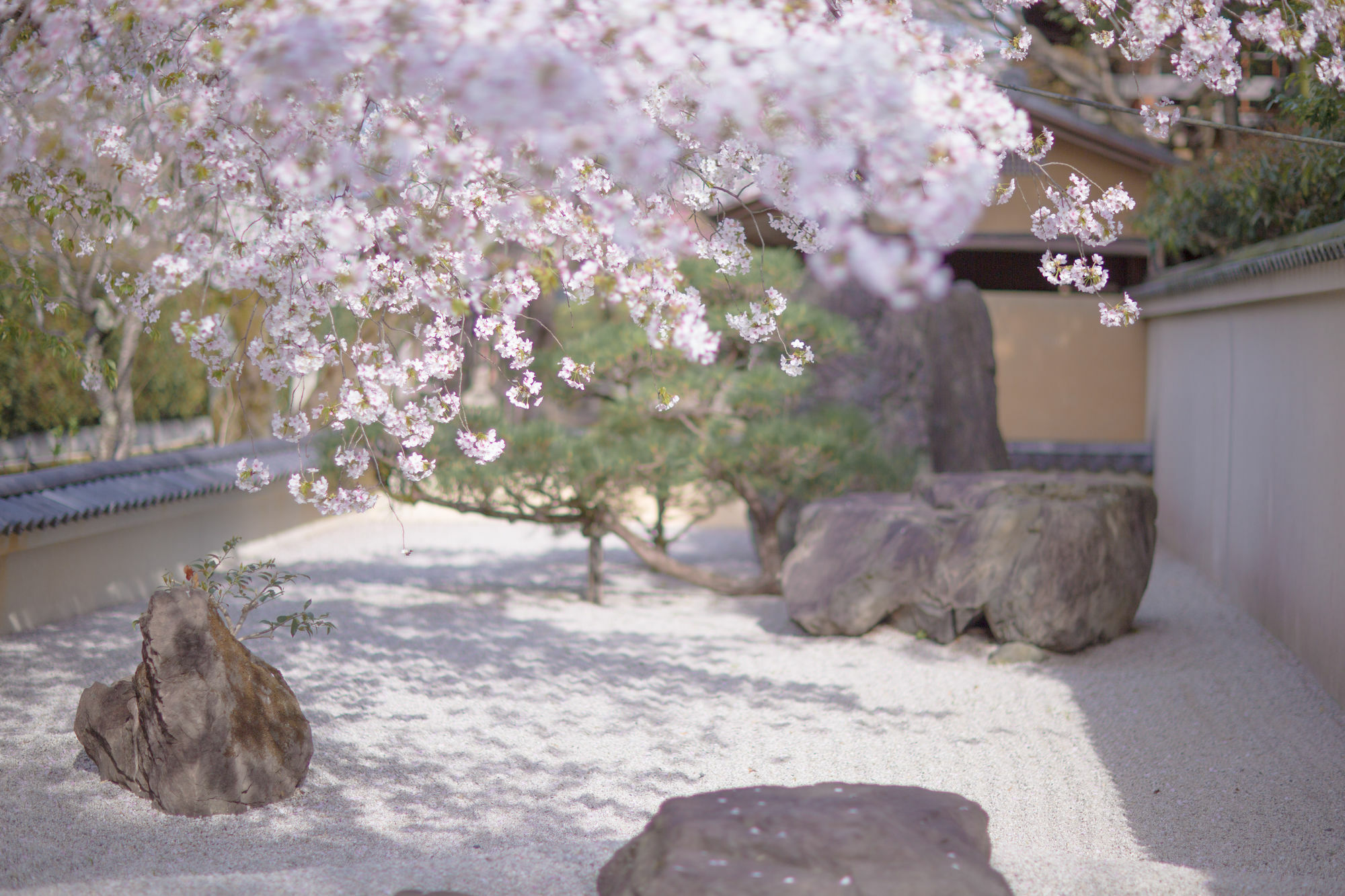 Kyoto Fushimi Ohana Muko المظهر الخارجي الصورة